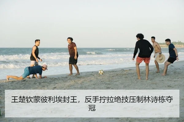 王楚钦蒙彼利埃封王，反手拧拉绝技压制林诗栋夺冠 - PG